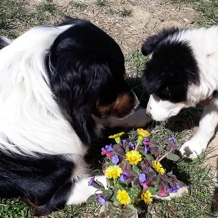 Cascina Sant'elena ベッド・アンド・ブレックファスト