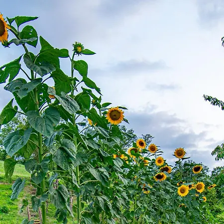 Cascina Sant'elena Bubbio