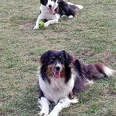 Bed & Breakfast Cascina Sant'elena